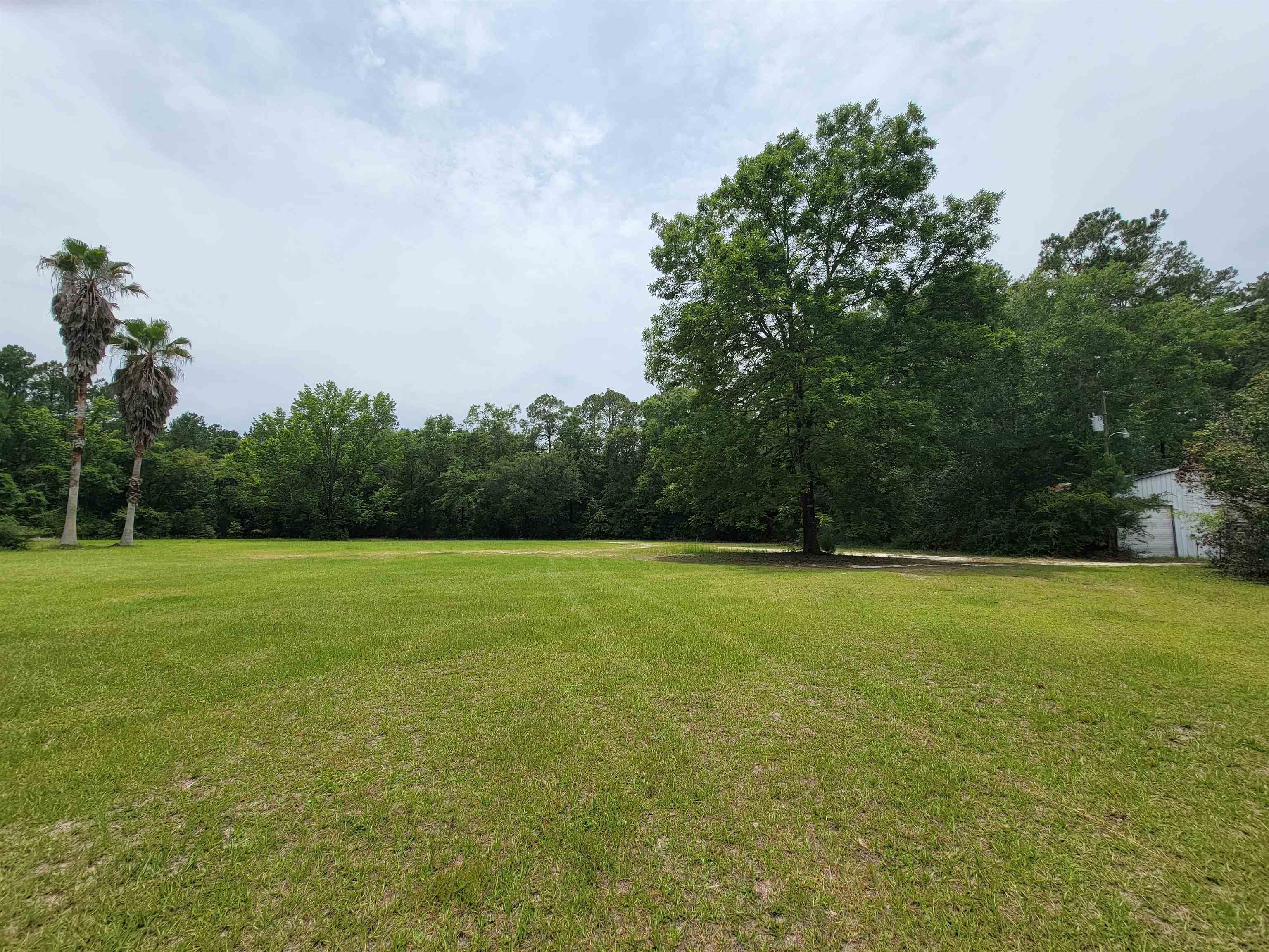 173 McCallister Road Crawfordville, FL 32327 - Photo 19 of 23