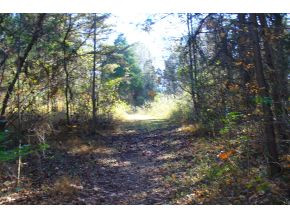 2265 Doty Chapel Road, Unit 7 & 20 Afton, TN 37616 - Photo 5 of 12 Trails