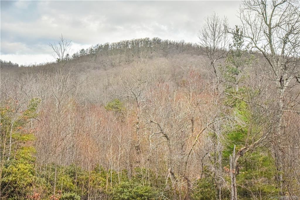 55 Pine Bluff Road Hendersonville, NC 28792 - Photo 16 of 35