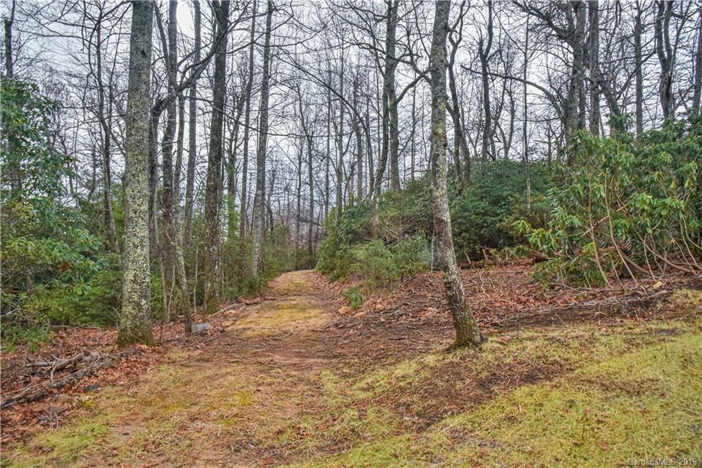 55 Pine Bluff Road Hendersonville, NC 28792 - Photo 28 of 35