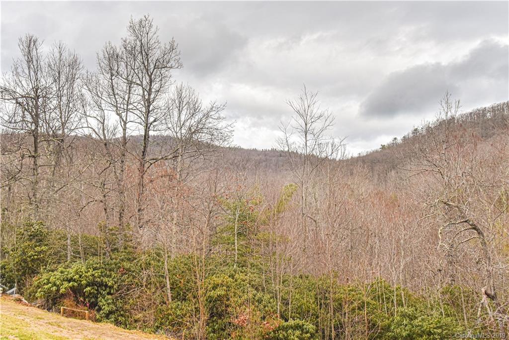 55 Pine Bluff Road Hendersonville, NC 28792 - Photo 31 of 35