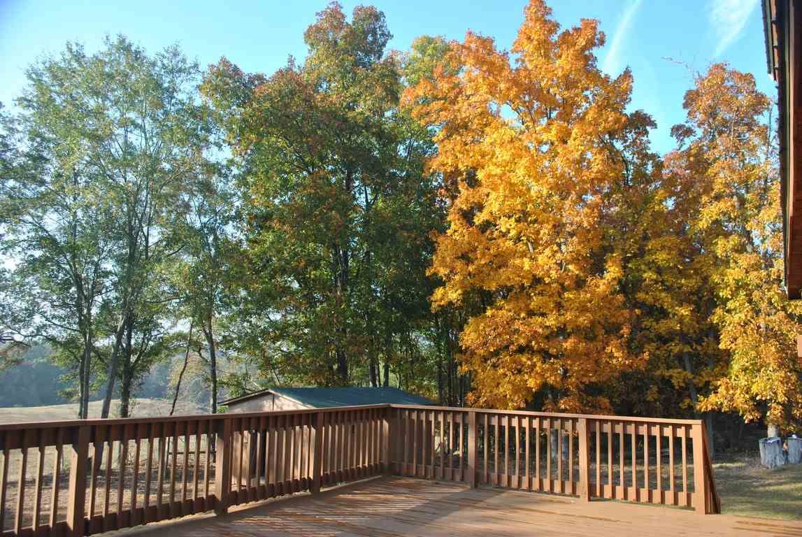4496 Sawmill Road Gray Court, SC 29645 - Photo 19 of 25 Gallery Image 19