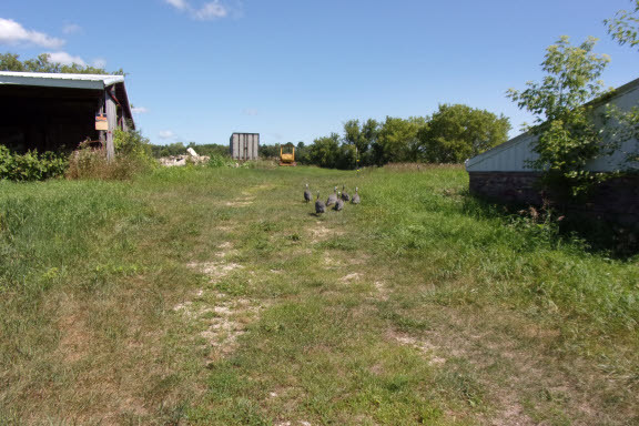 18417 Lincoln Road Harvard, IL 60033 - Photo 41 of 53