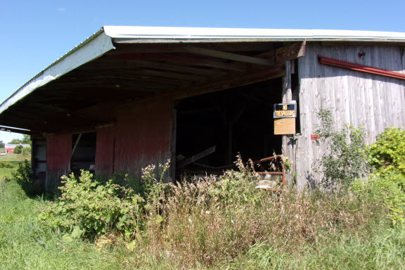 18417 Lincoln Road Harvard, IL 60033 - Photo 42 of 53