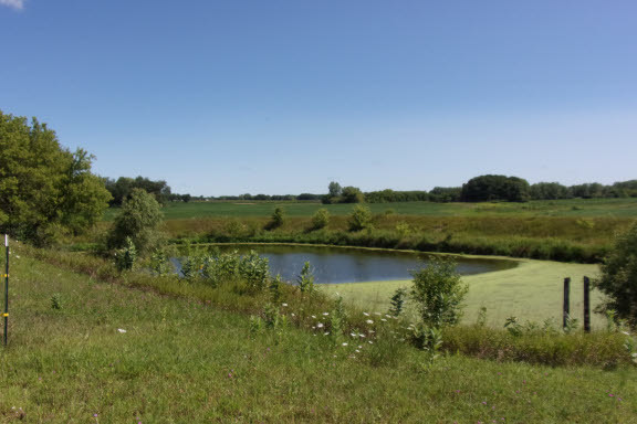 18417 Lincoln Road Harvard, IL 60033 - Photo 45 of 53