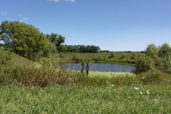 18417 Lincoln Road Harvard, IL 60033 - Photo 46 of 53