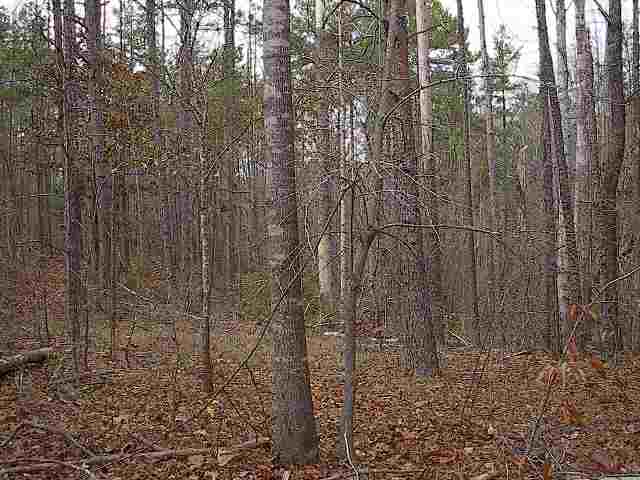 0 Near Okelly Road Westminster, SC 29693 - Photo 5 of 6 Gallery Image 5
