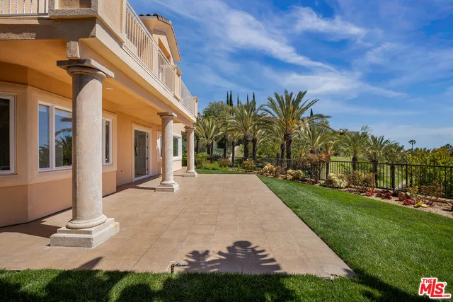 a view of a yard with plants and palm trees
