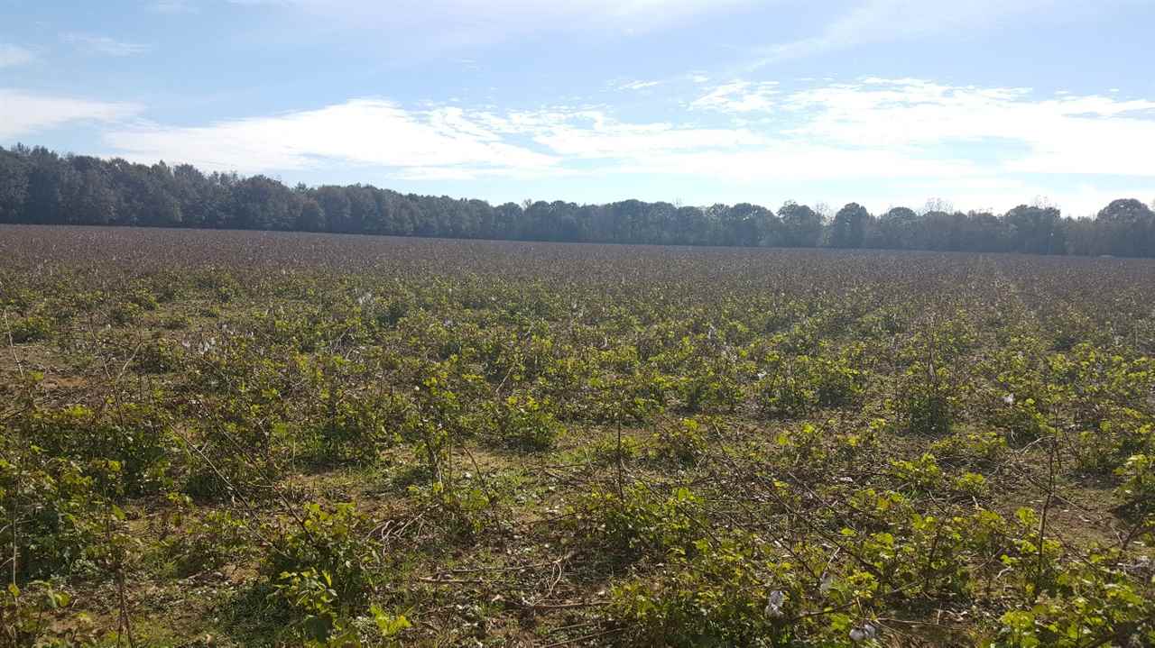 36 East County Road Summerdale, AL 36580 - Photo 6 of 7