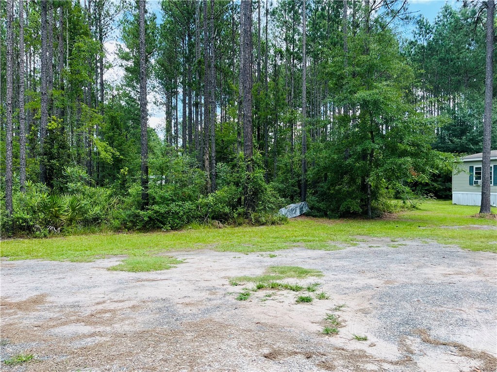 2553 Courthouse Rd Extension Guyton, GA 31312 - Photo 3 of 15