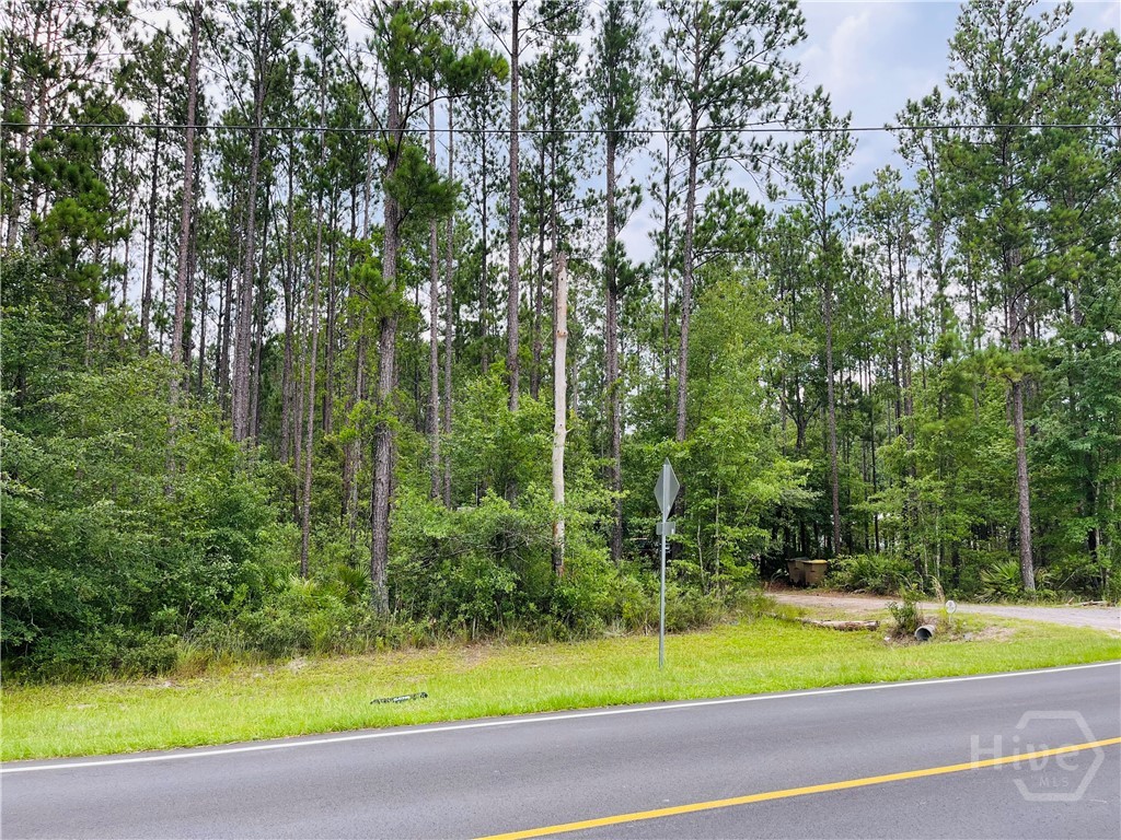 2553 Courthouse Rd Extension Guyton, GA 31312 - Photo 4 of 15