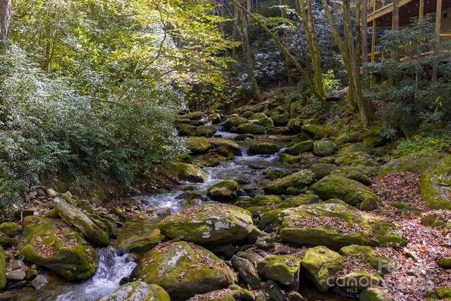 a view of a bunch of trees and flowers