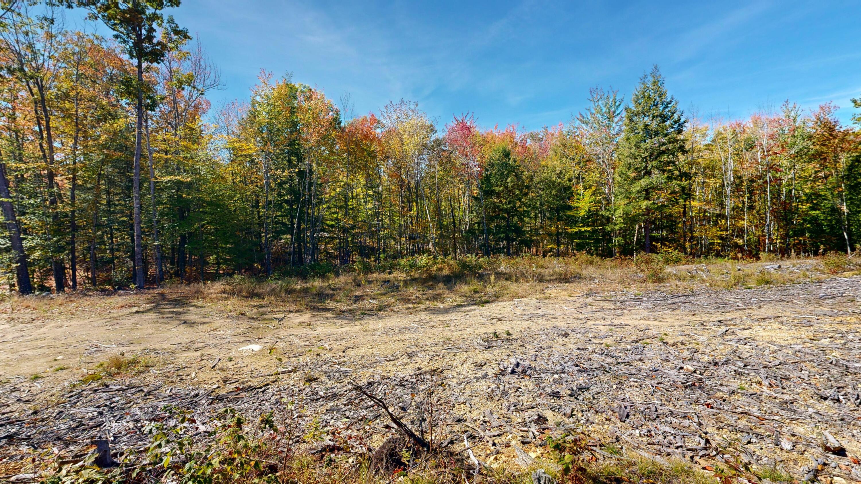 Lot 21 B Station Road Hebron, ME 04238 - Photo 3 of 7 Land View