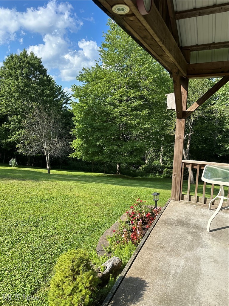 48864 Dry Ridge Road Clarington, OH 43915 - Photo 39 of 49 View of grassy yard featuring view of scattered trees from the Pavilion