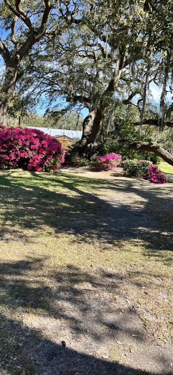 185 Wappoo Road Charleston, SC 29407 - Photo 12 of 65 wappoo