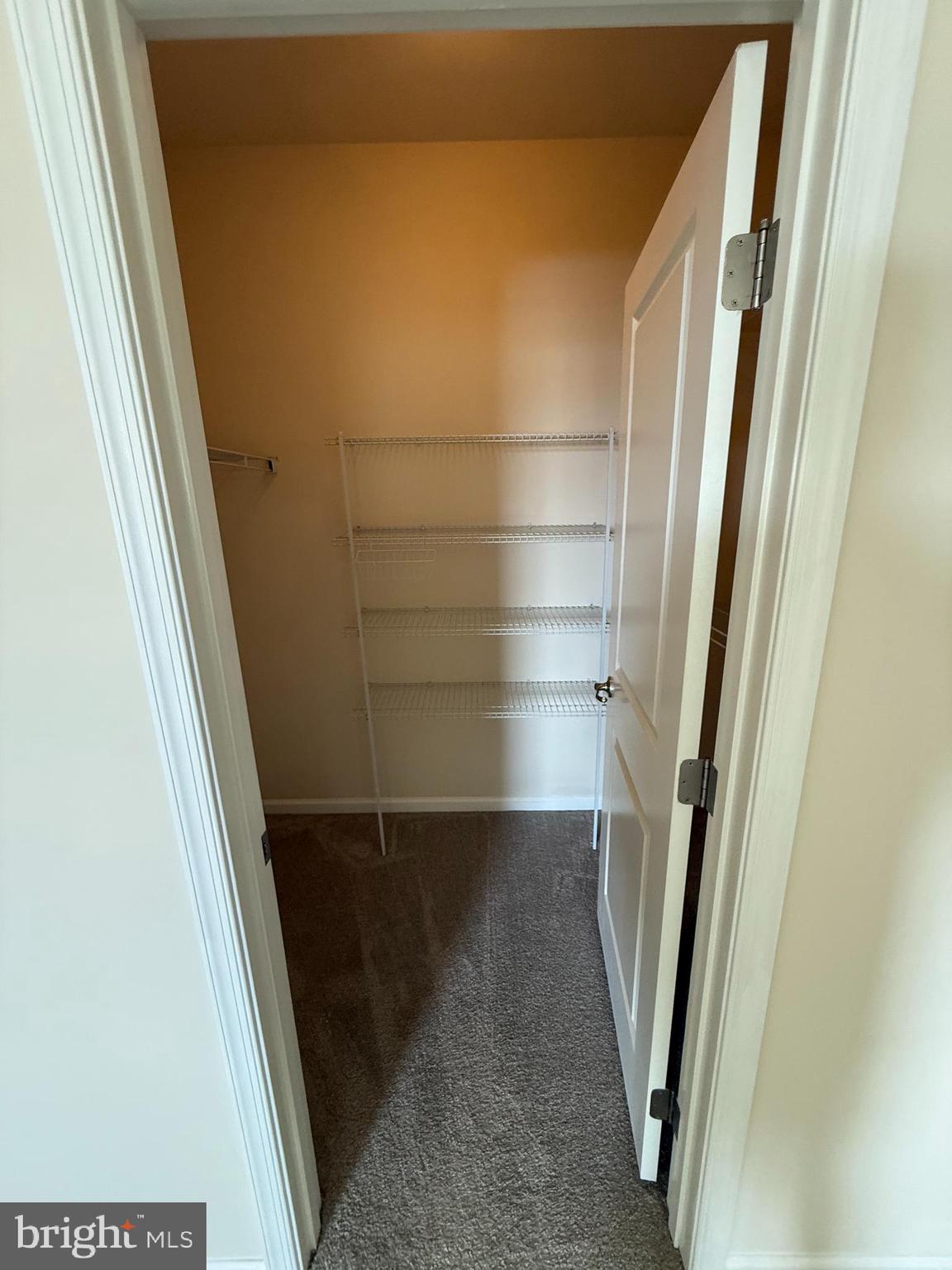 202 B Mill Pond Road Frederick, MD 21701 - Photo 24 of 44 a view of closet