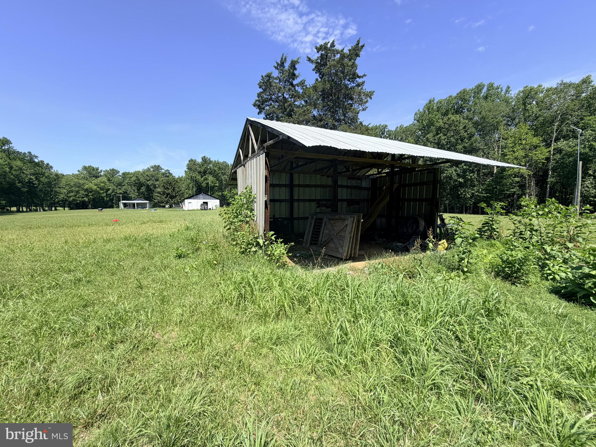 586 Zeitler Road Elkton, MD 21921 - Photo 53 of 55 Rustic shed amidst lush greenery.