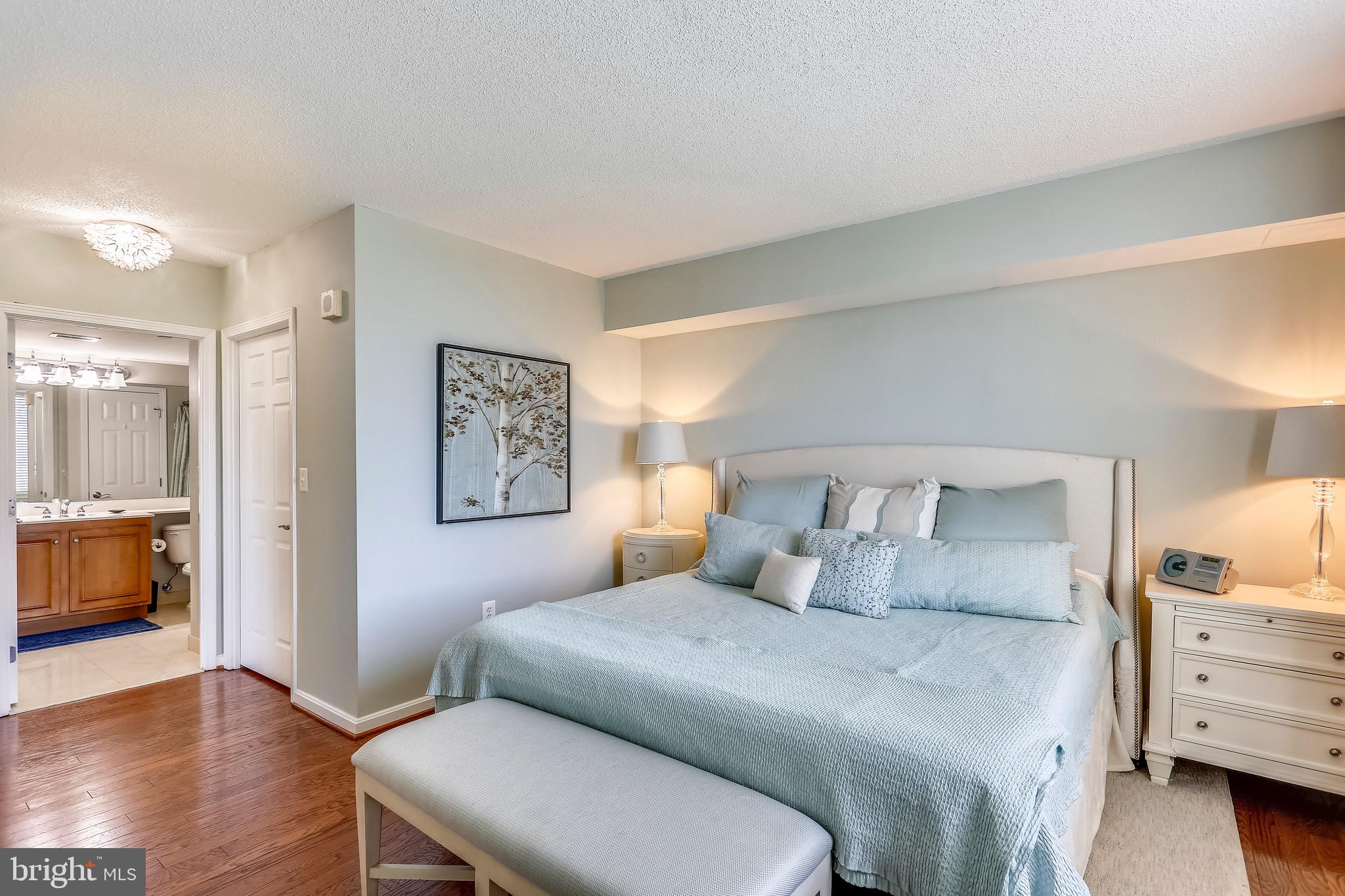 11710 Old Georgetown Road, Unit 901 North Bethesda, MD 20852 - Photo 13 of 32 Ensuite bath