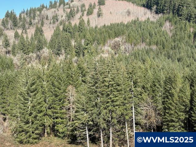 0 Logsden Road Blodgett, OR 97326 - Photo 9 of 24