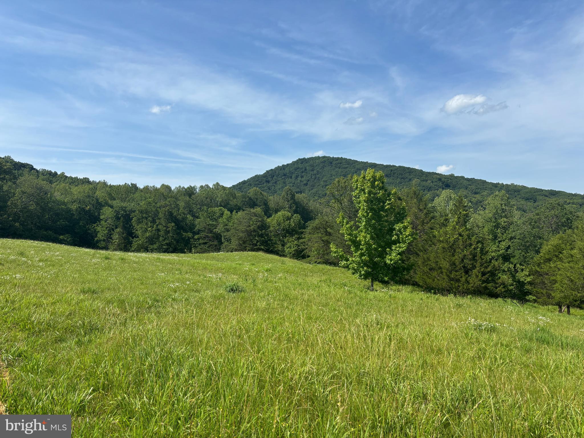 Castle Rock Lane Castleton, VA 22716 - Photo 14 of 15 Castle Mountain