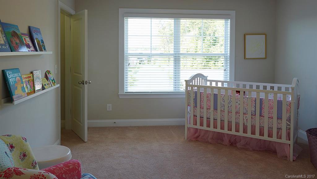874 Coralbell Way, Unit 192 Tega Cay, SC 29708 - Photo 12 of 24 Gallery Image 12