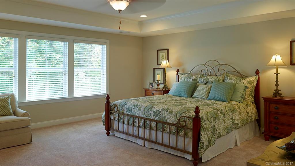 874 Coralbell Way, Unit 192 Tega Cay, SC 29708 - Photo 8 of 24 Gallery Image 8