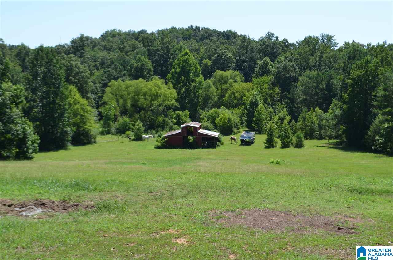 7273 Cavern Road Trussville, AL 35173 - Photo 43 of 45