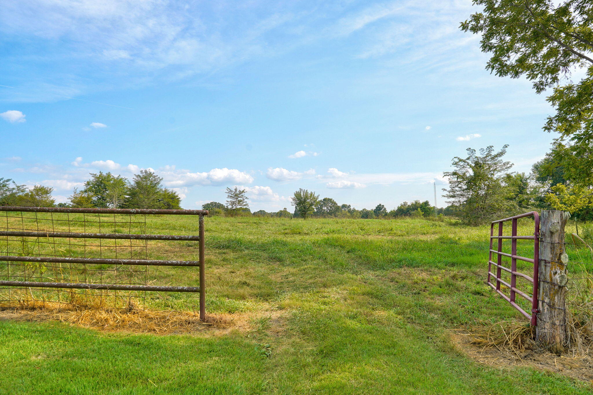 1186 Shawnee Road Sparta, MO 65753 - Photo 27 of 46 1186 Shawnee Rd-39