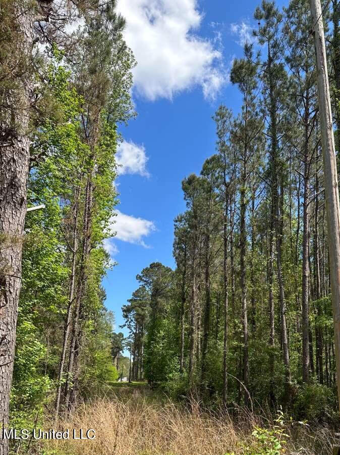 2078 Little Rock Road Crystal Springs, MS 39059 - Photo 11 of 21 Copiah 41-10