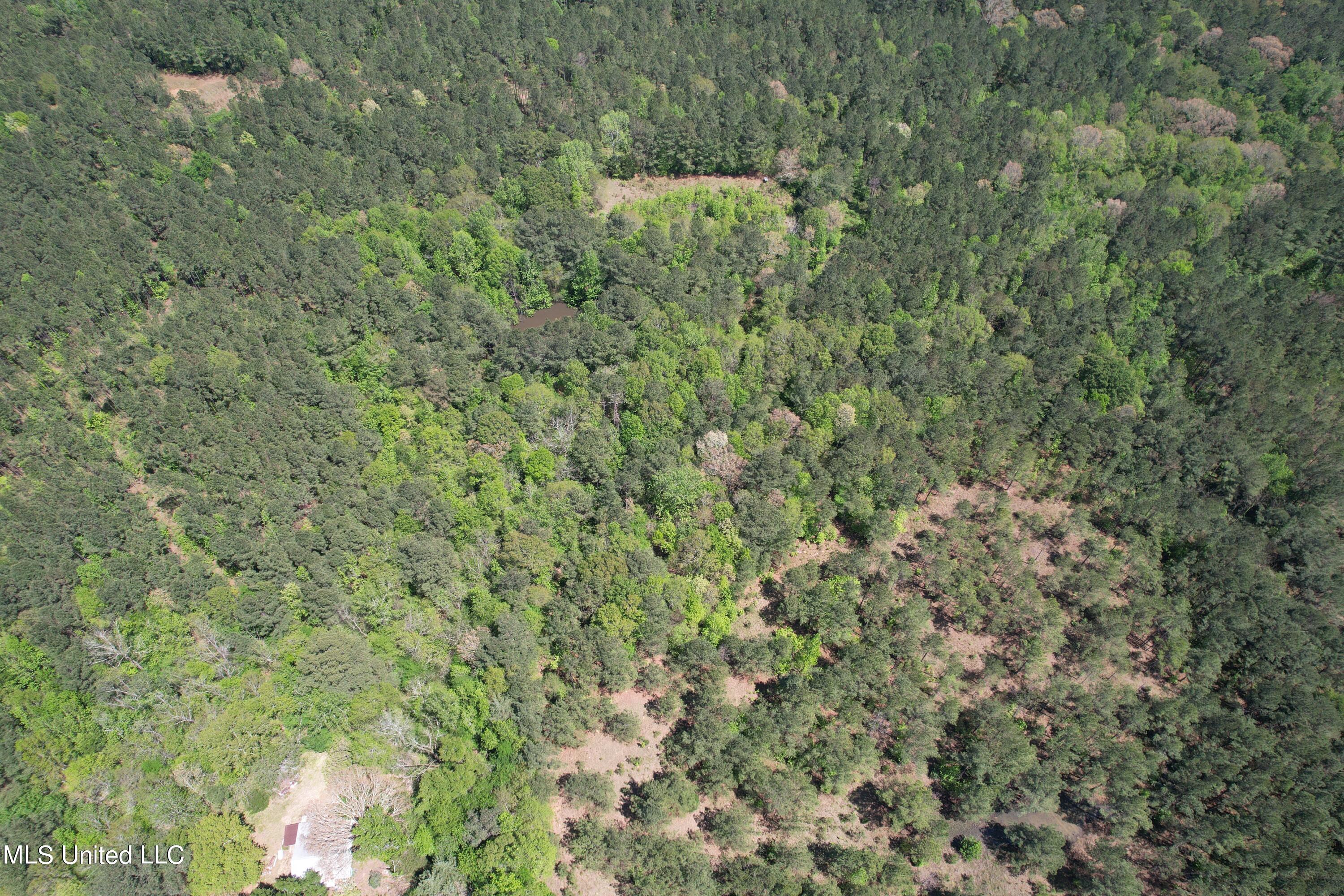 2078 Little Rock Road Crystal Springs, MS 39059 - Photo 12 of 21 DJI_0356