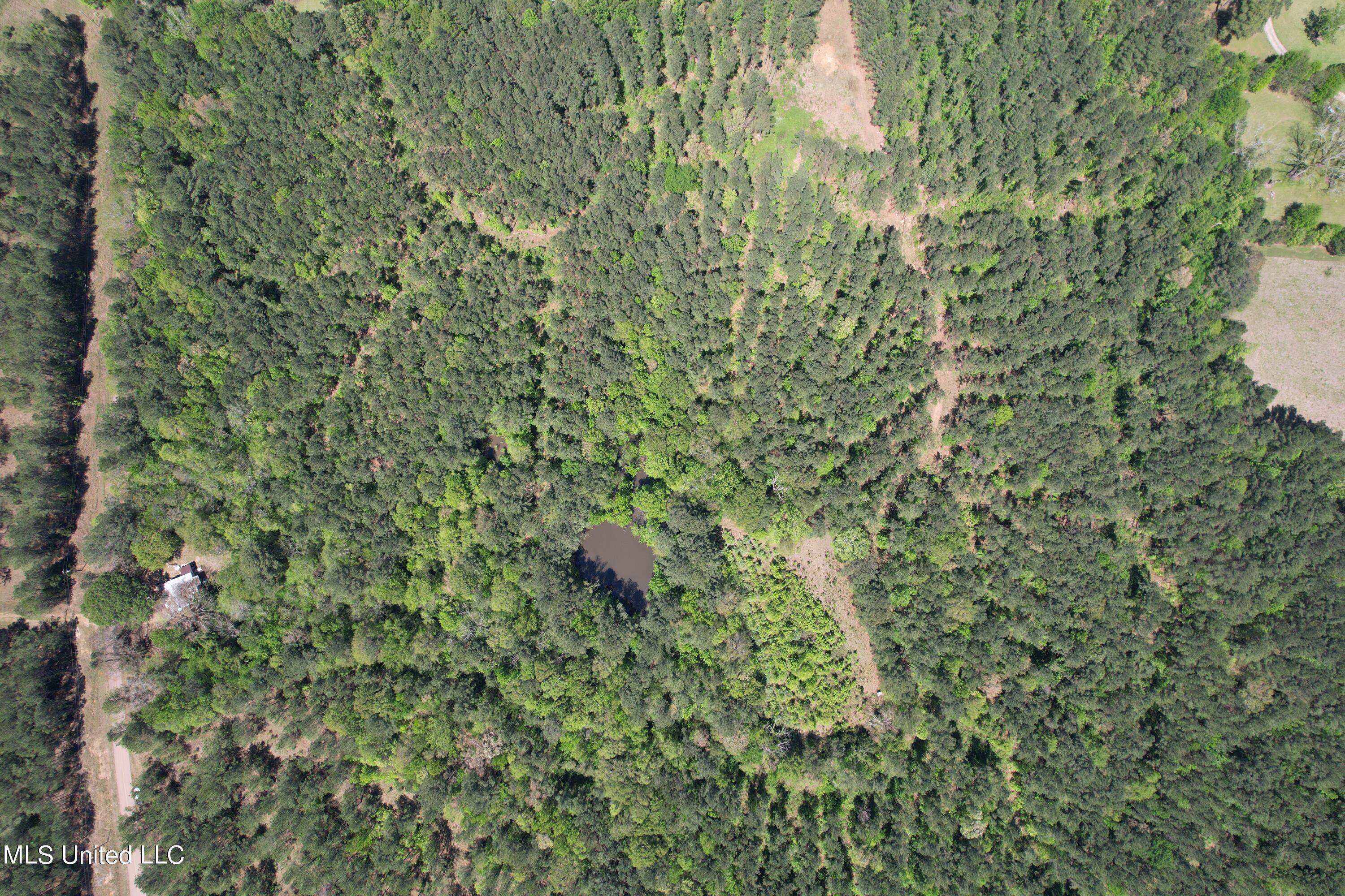 2078 Little Rock Road Crystal Springs, MS 39059 - Photo 13 of 21 DJI_0358