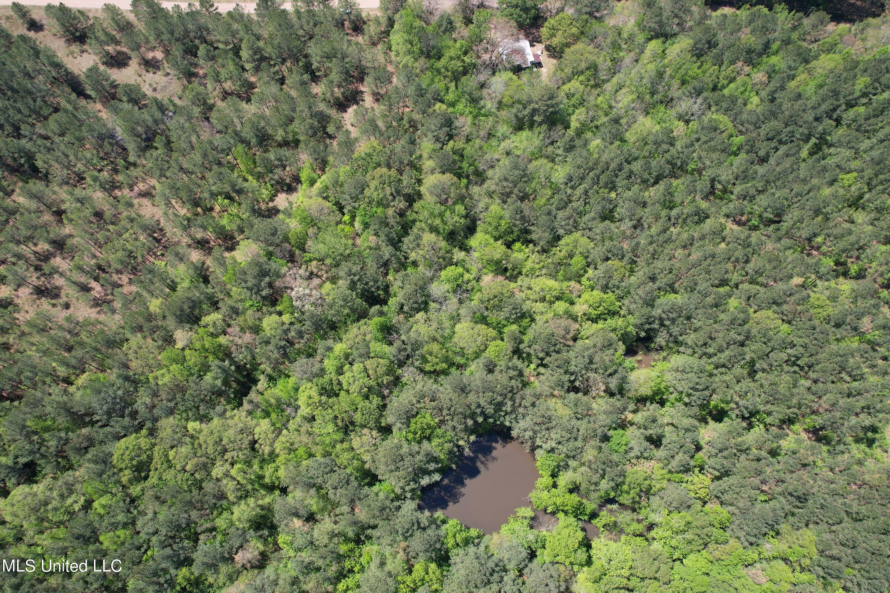2078 Little Rock Road Crystal Springs, MS 39059 - Photo 14 of 21 DJI_0361