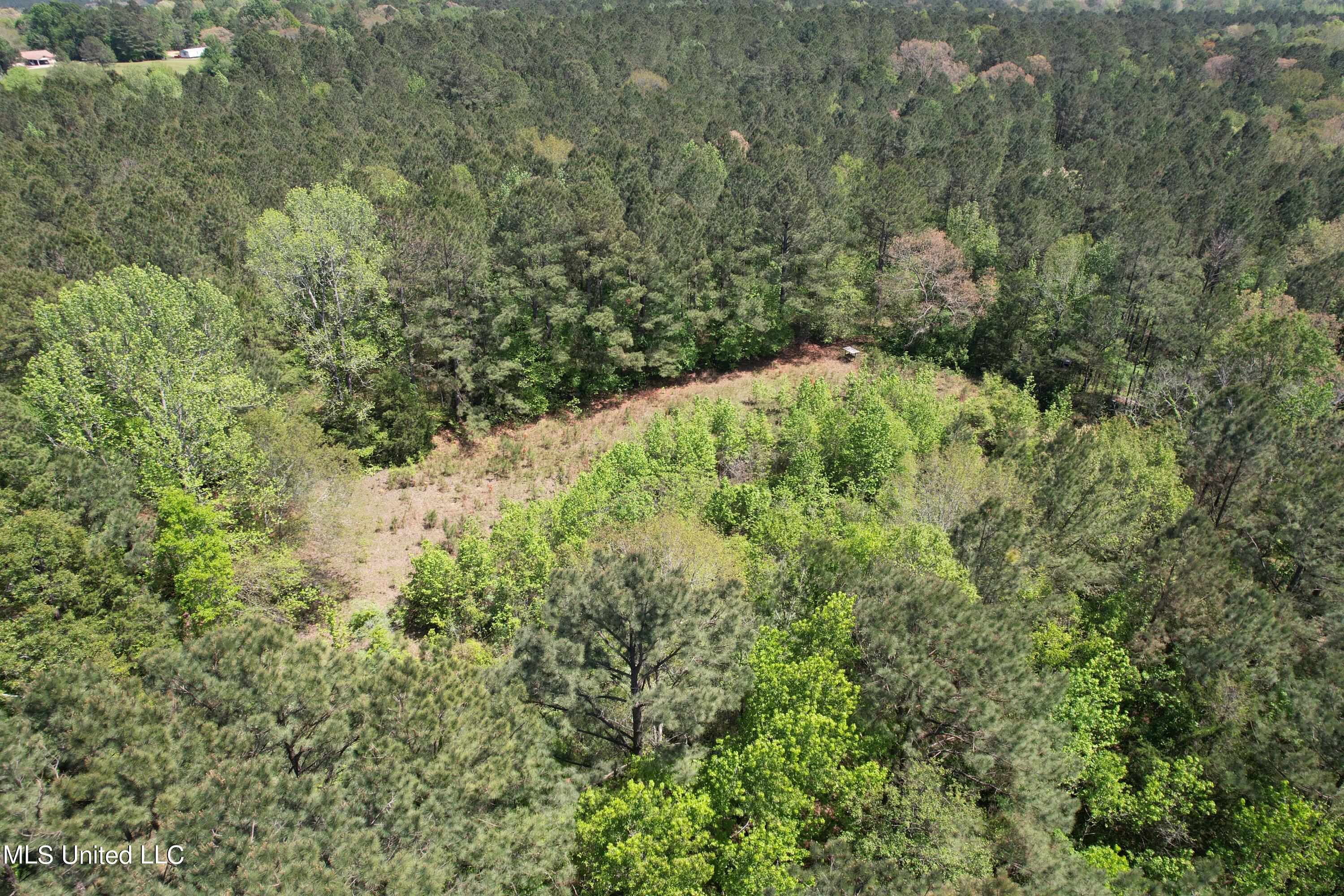 2078 Little Rock Road Crystal Springs, MS 39059 - Photo 16 of 21 DJI_0365