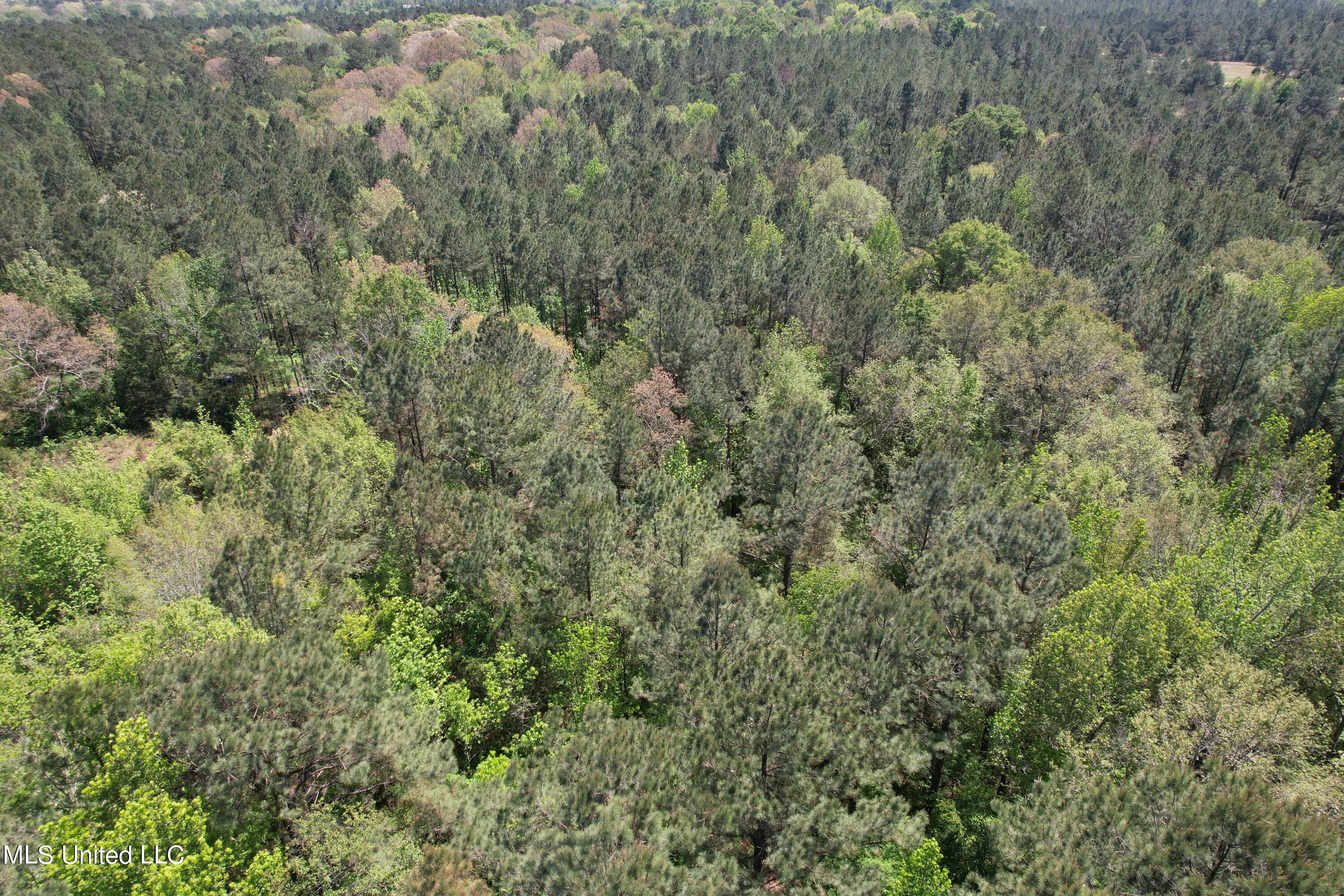 2078 Little Rock Road Crystal Springs, MS 39059 - Photo 17 of 21 DJI_0366