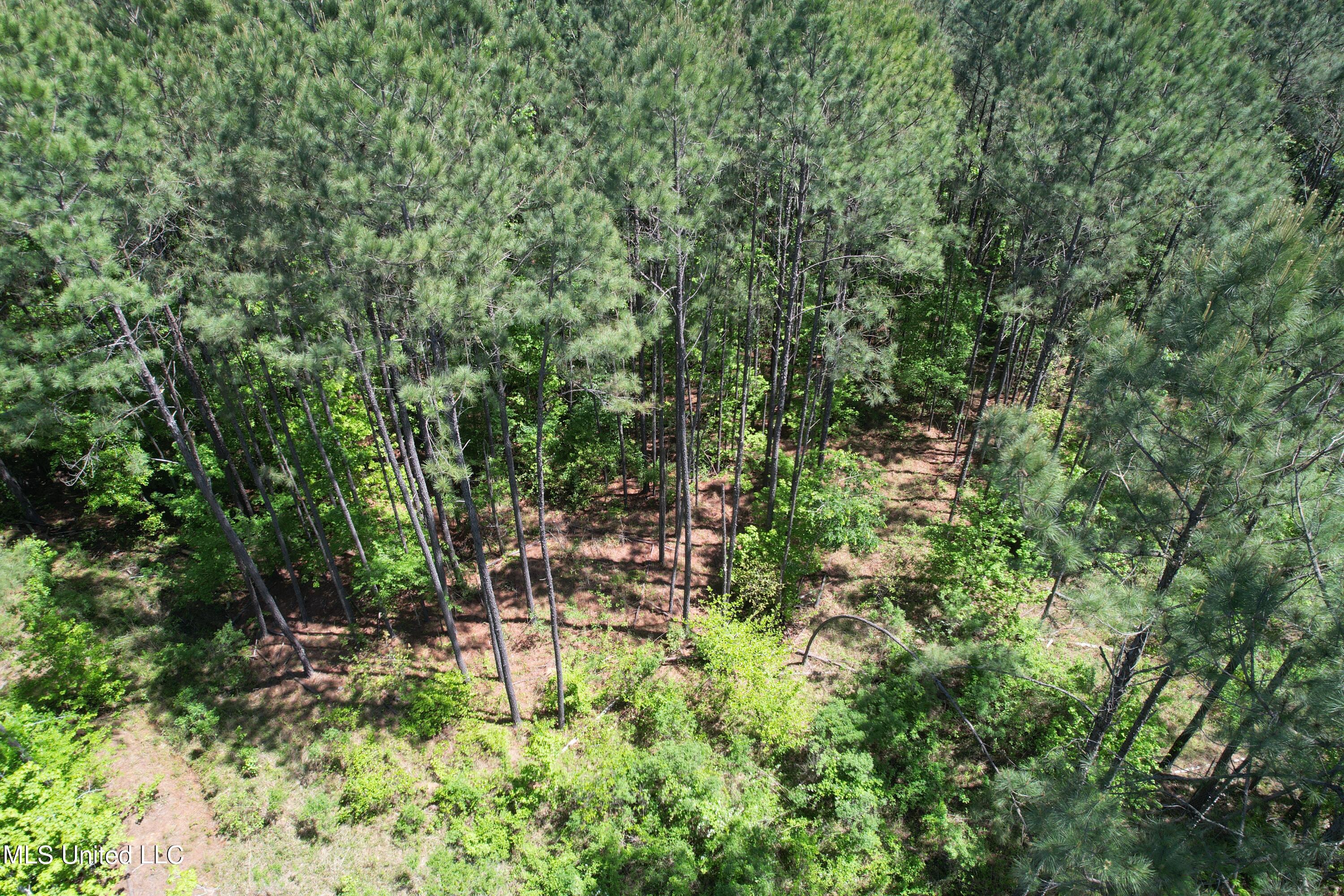 2078 Little Rock Road Crystal Springs, MS 39059 - Photo 18 of 21 DJI_0370