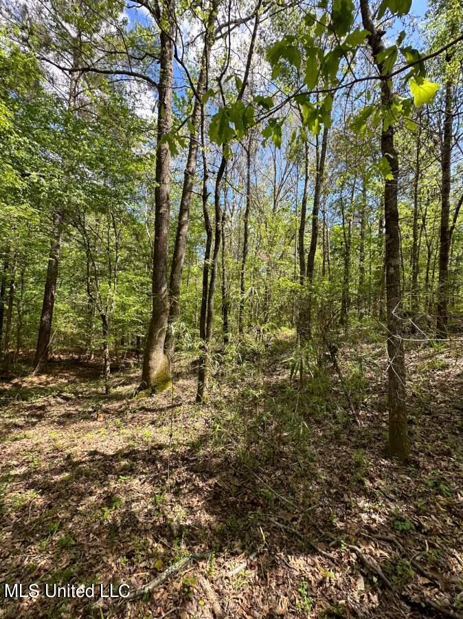 2078 Little Rock Road Crystal Springs, MS 39059 - Photo 2 of 21 Copiah 41-1
