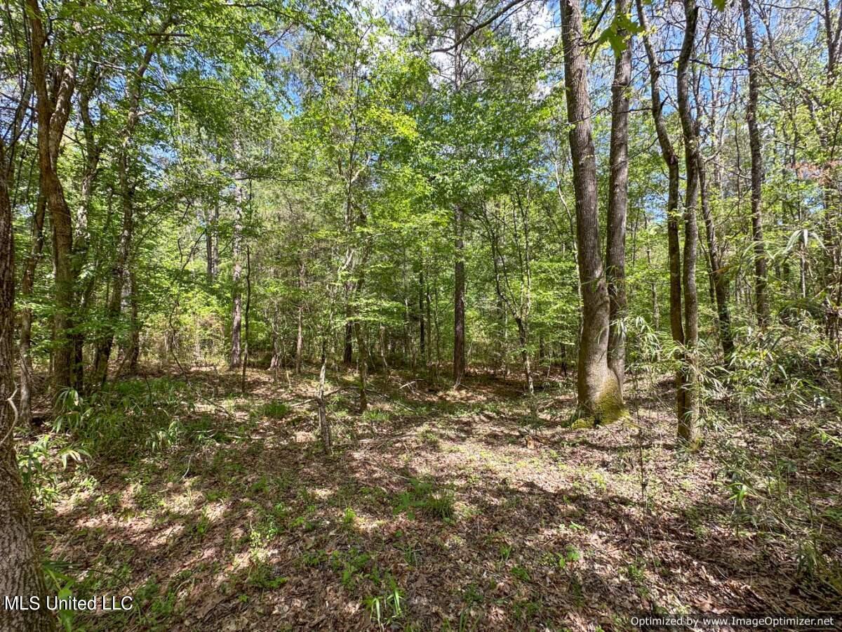 2078 Little Rock Road Crystal Springs, MS 39059 - Photo 3 of 21 Copiah 41-2
