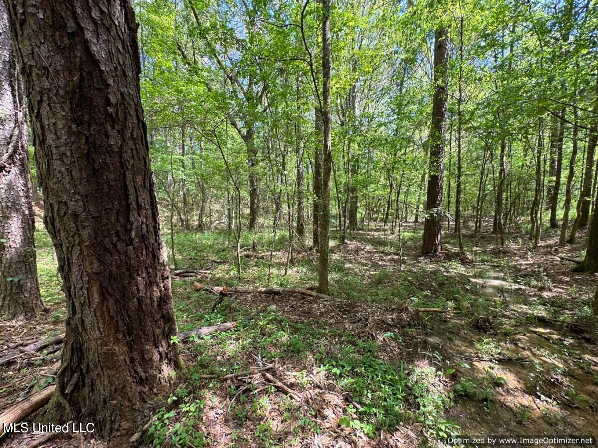 2078 Little Rock Road Crystal Springs, MS 39059 - Photo 4 of 21 Copiah 41-3