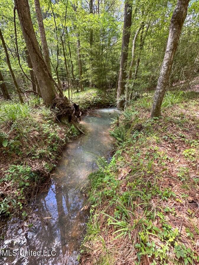 2078 Little Rock Road Crystal Springs, MS 39059 - Photo 5 of 21 Copiah 41-4