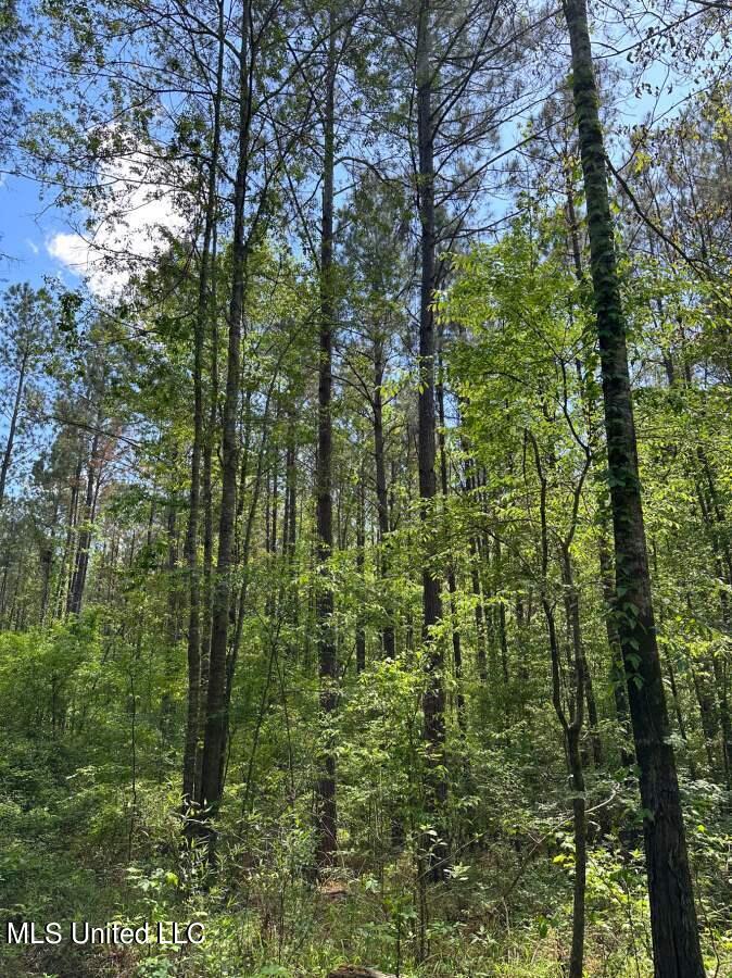2078 Little Rock Road Crystal Springs, MS 39059 - Photo 7 of 21 Copiah 41-6