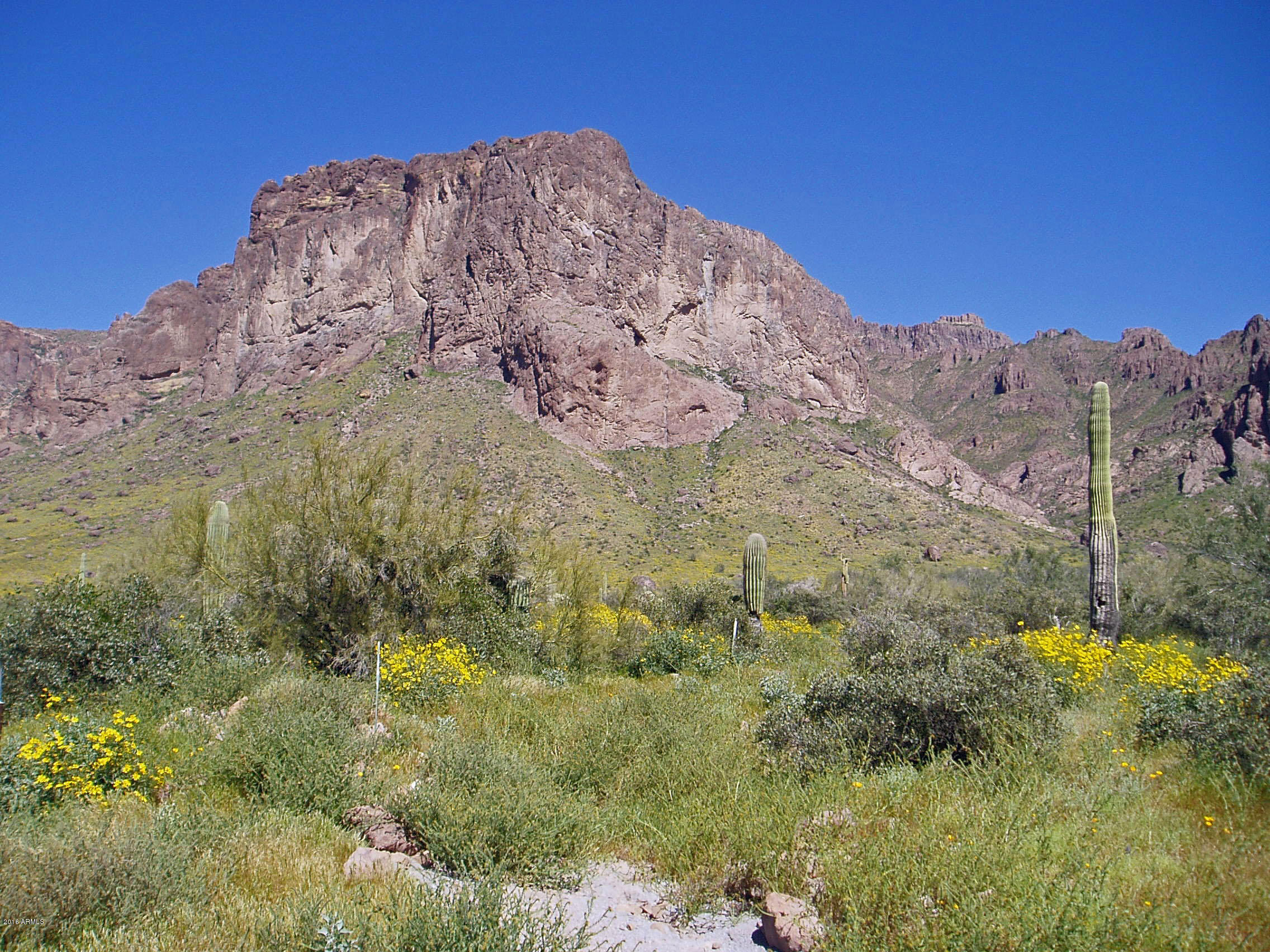 1900 North Barkley Road Apache Junction, AZ 85119 - Photo 27 of 45 Spring Poppies 1