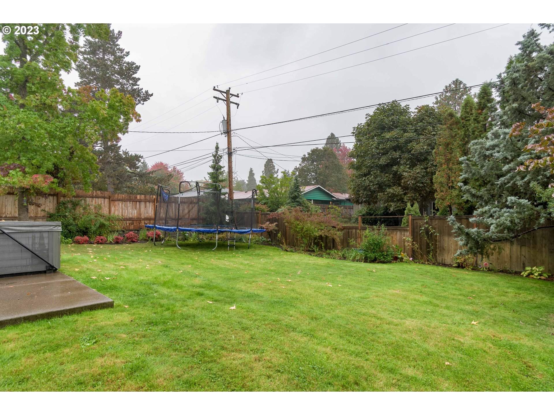 3950 Donald Street Eugene, OR 97405 - Photo 33 of 33 a view of a backyard with potted plants and large trees