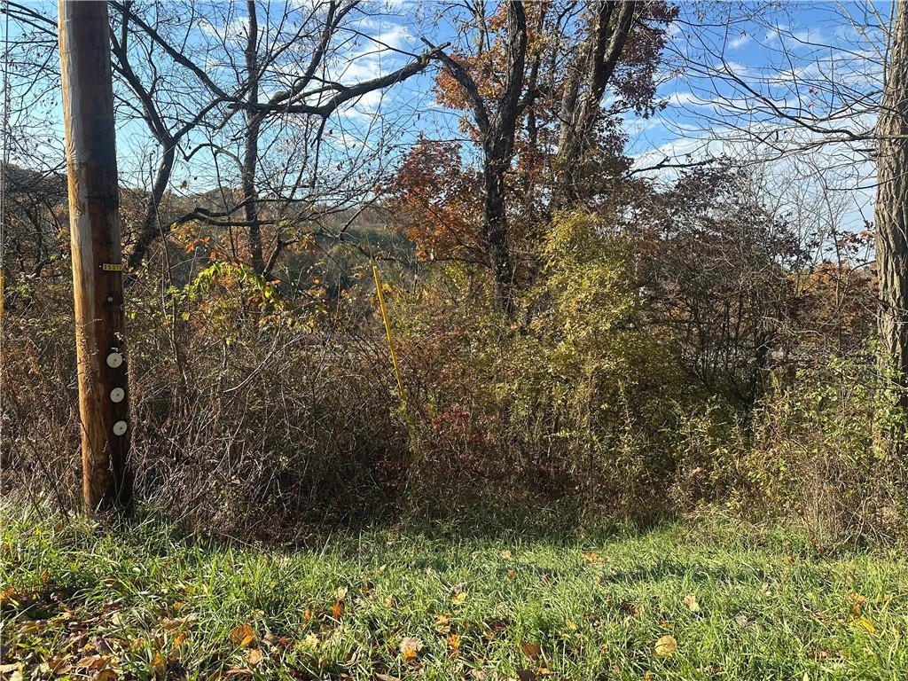 a view of bushes and trees