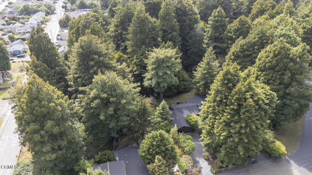 325 Nancy Way Fort Bragg, CA 95437 - Photo 41 of 47 DJI_20260603164329_0174_D