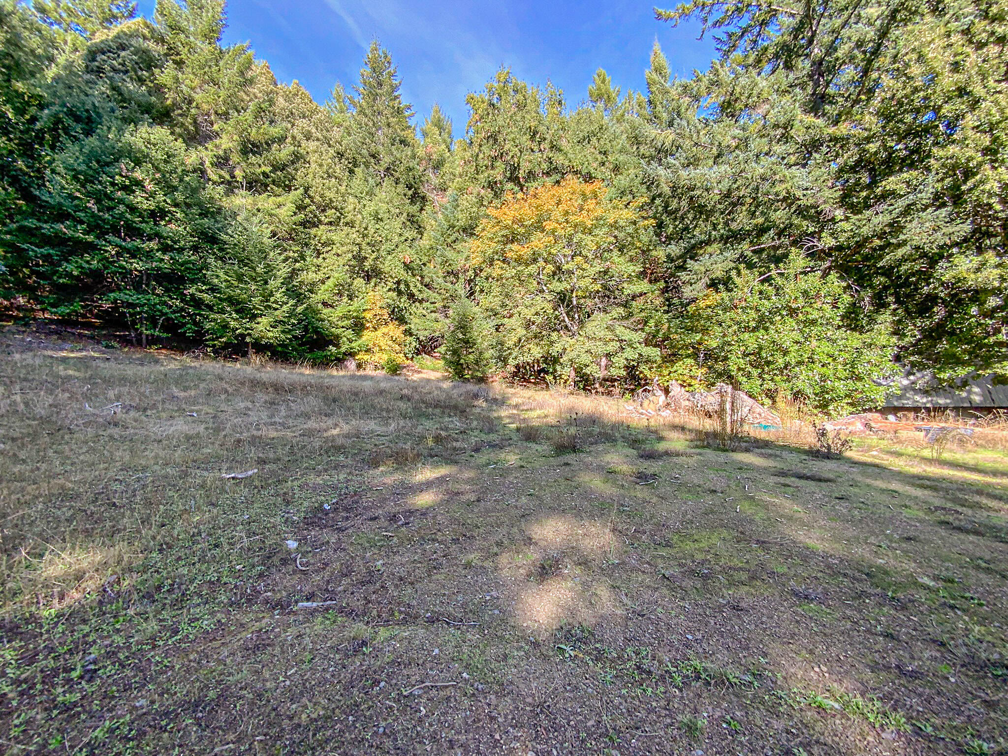 703 Wool Mountain Road Zenia, CA 95595 - Photo 5 of 31