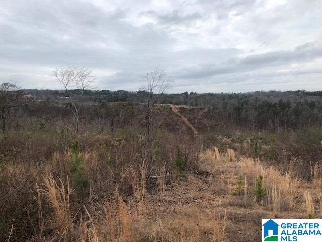 48 Highway, Unit 40 Wedowee, AL 36278 - Photo 2 of 3