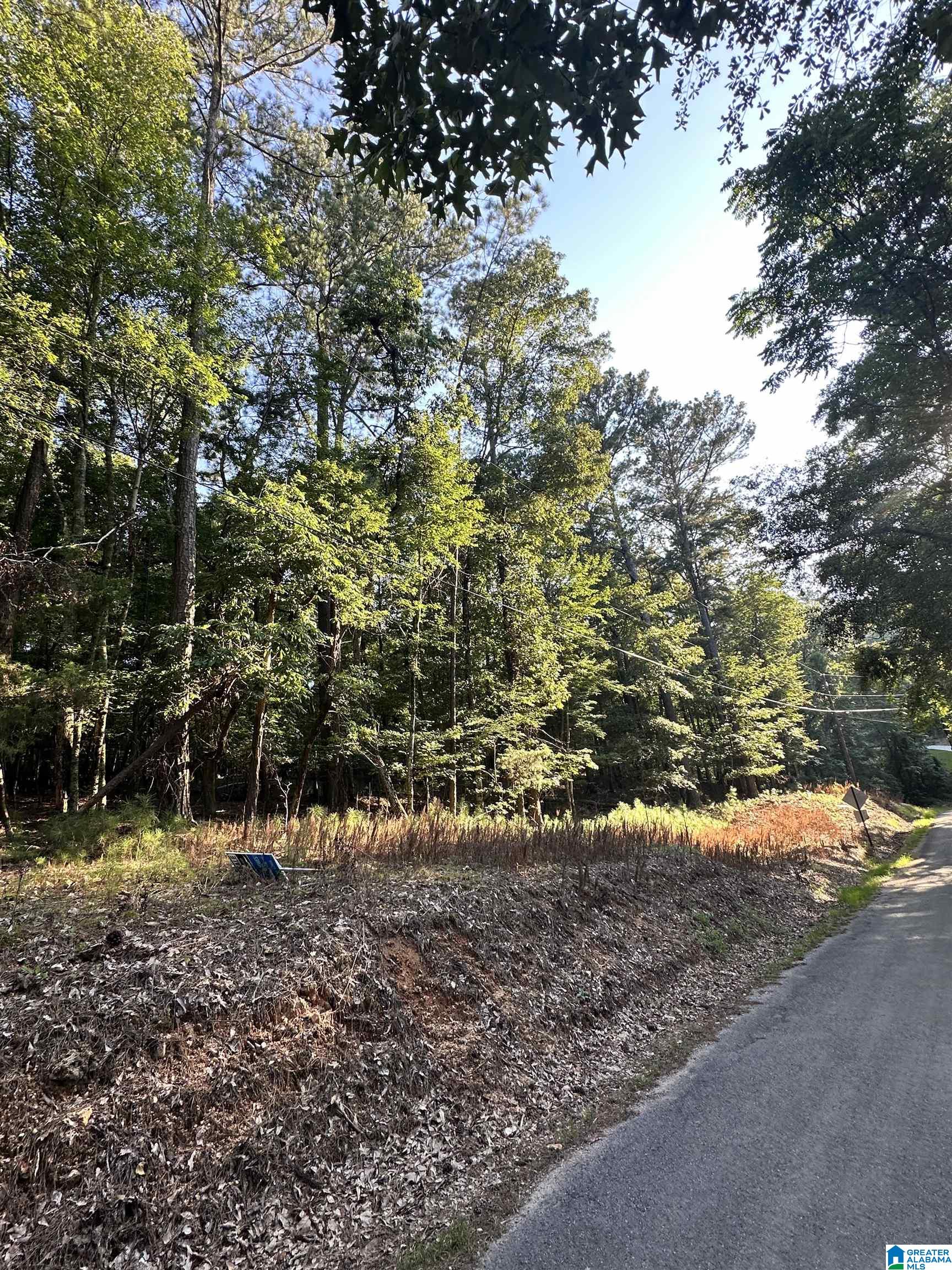 500 Black Acres Road, Unit 27 Cropwell, AL 35054 - Photo 20 of 25