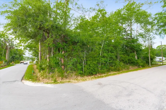 a view of a garden with plants
