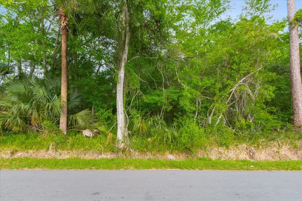 a picture of a yard