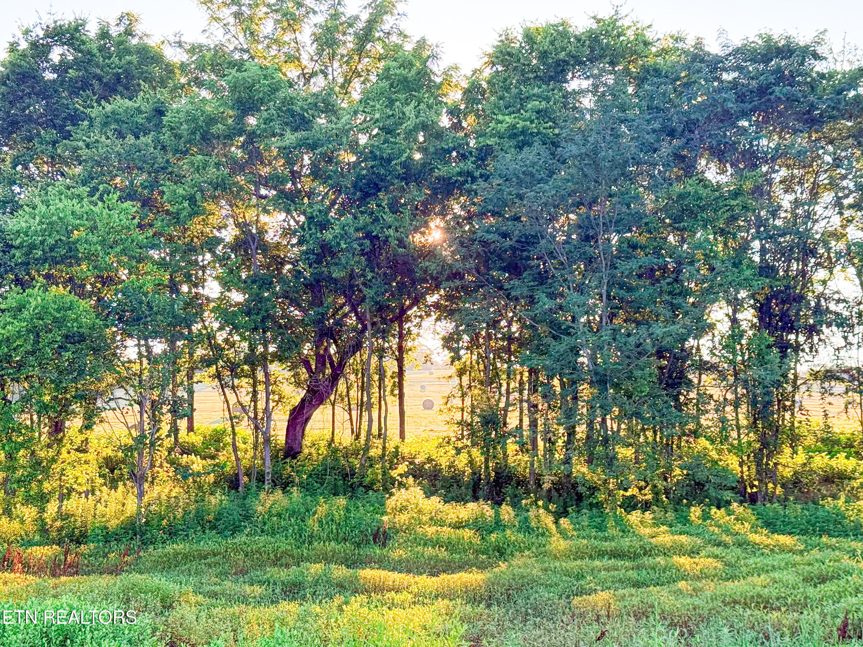 19 Summerset Drive Talbott, TN 37877 - Photo 2 of 10 Photo Jul 03 2025, 8 03 20 PM